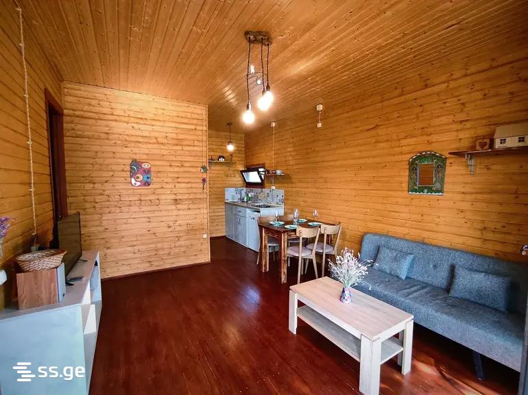 2 Room Summer Cottage Daily Rent. Bazaleti view 6