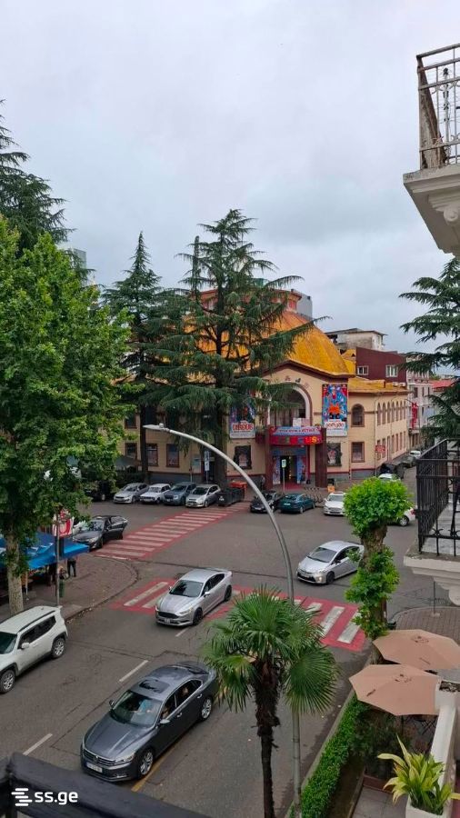3 Room Flat Daily Rent. Batumi view 8