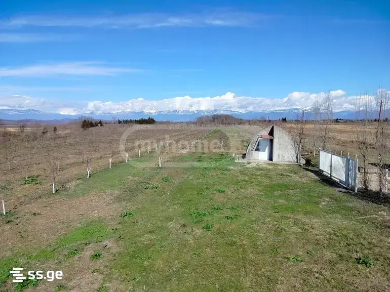 Land For Sale. Senaki view 11