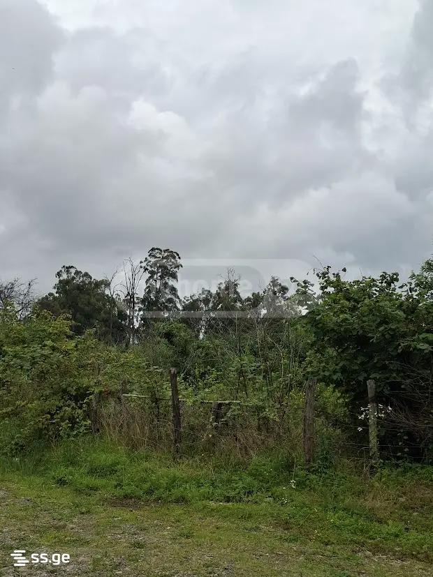 Land For Sale. Shekvetili view 7