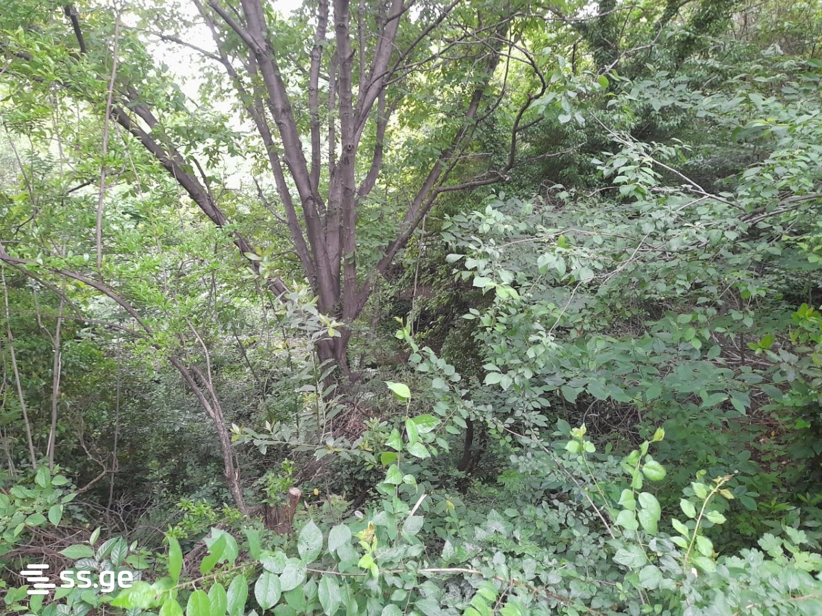 Land For Sale. Elia view 6