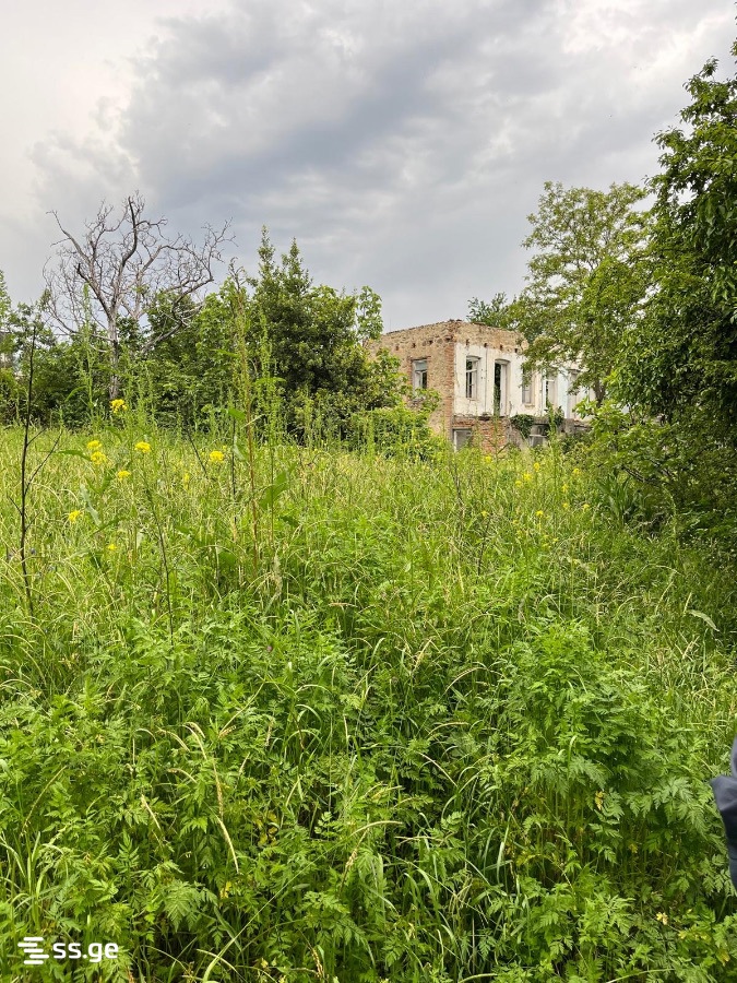 Продажа Земля в Телави, 3 of 3