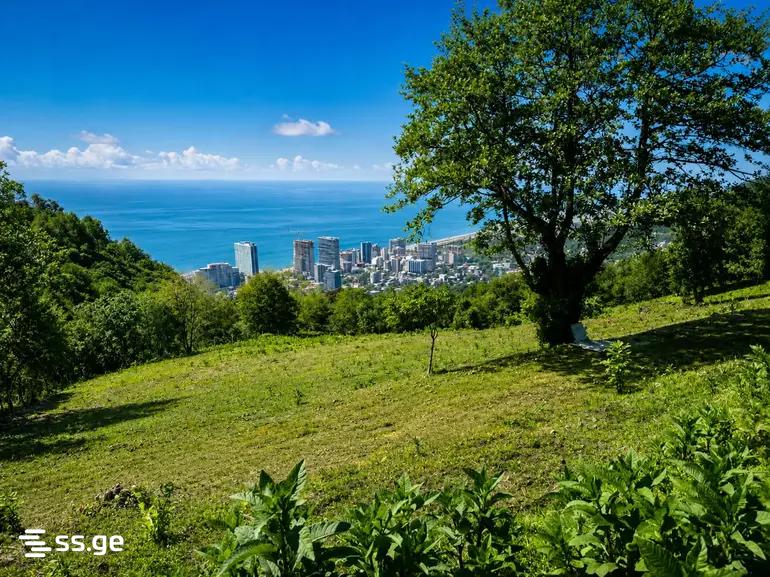 Land For Sale. Batumi view 10