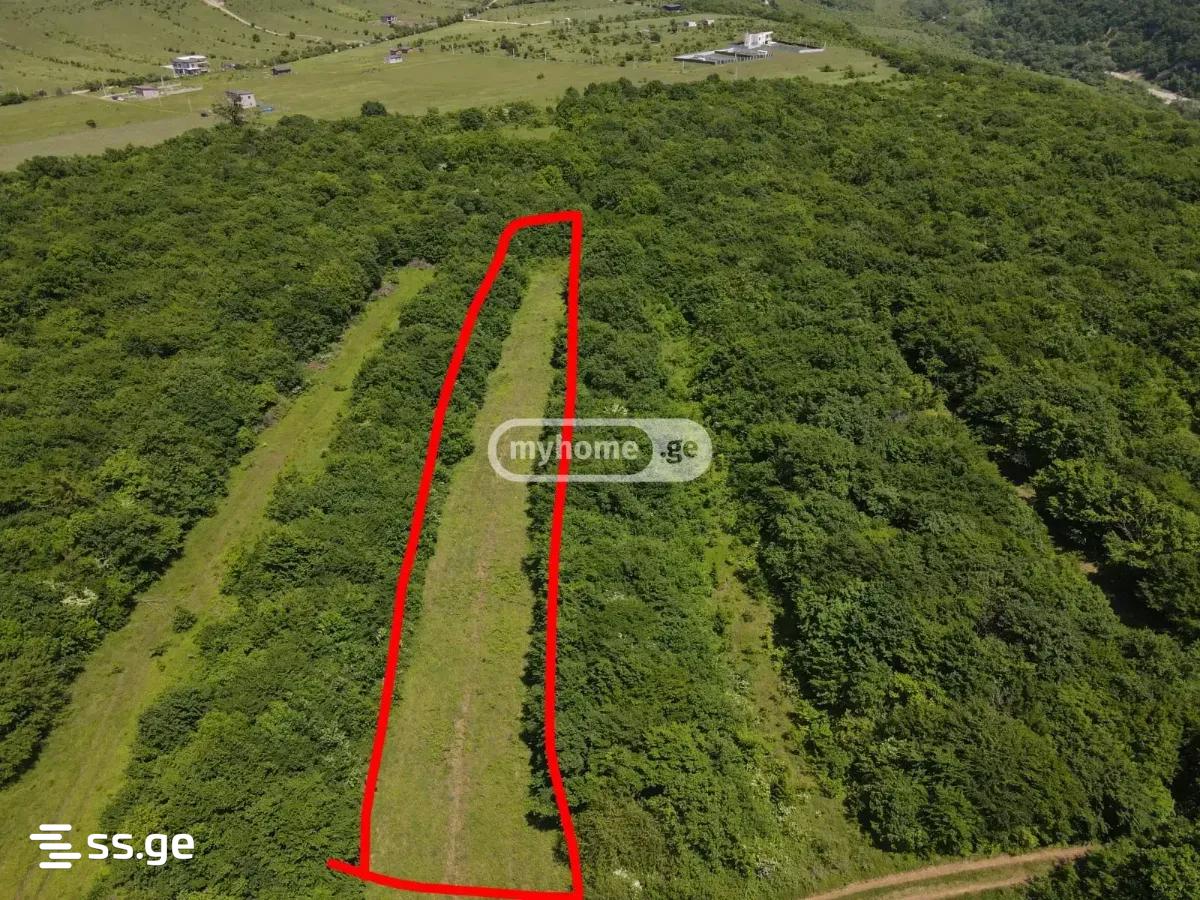 Land For Sale. Saguramo view 14