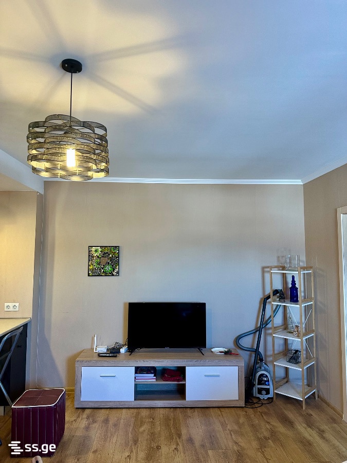 4 Room Flat Daily Rent. Bakurianis Andeziti view 1