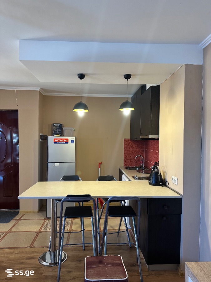 4 Room Flat Daily Rent. Bakurianis Andeziti view 2