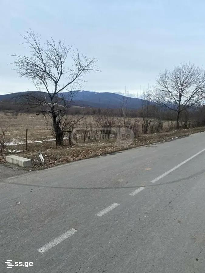 Продажа Земля / участок в Tianetis Munitsipalitetshi view 17