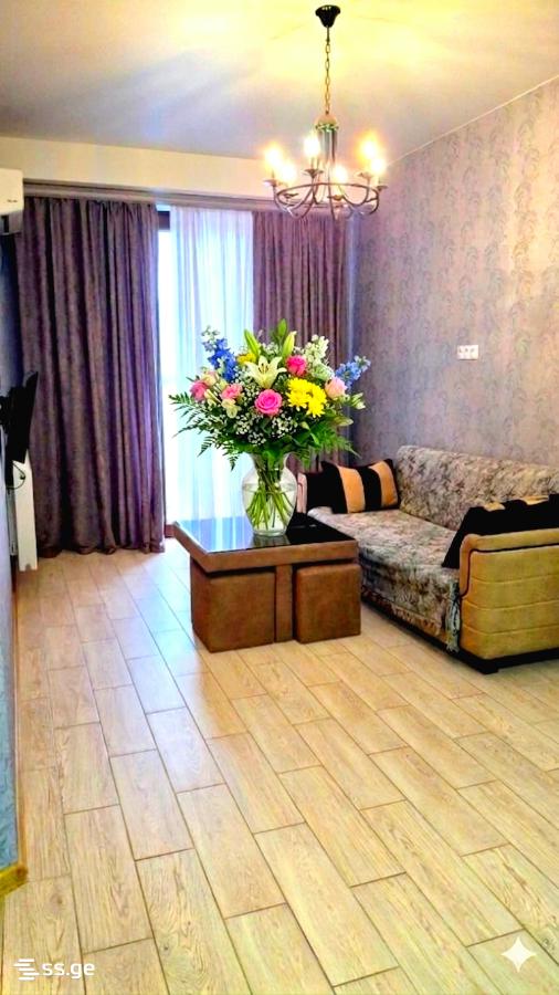 2 Room Flat Daily Rent. Didi Digomi view 2