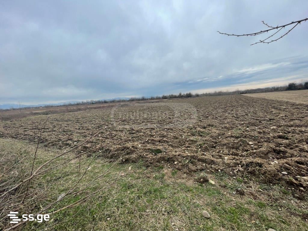Land For Sale. Tskaltubo view 4
