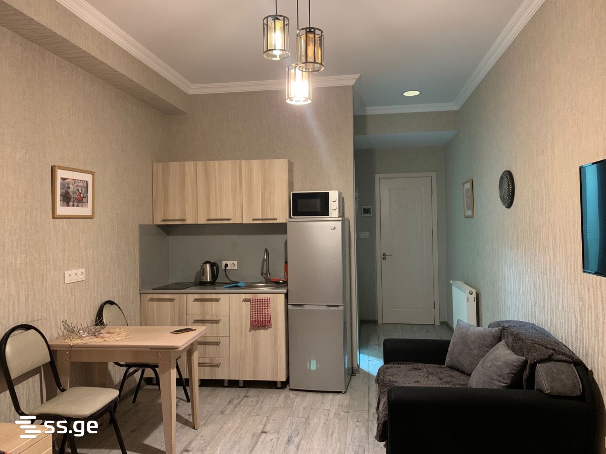 1 Room Flat Daily Rent. Saburtalo, 4 of 4