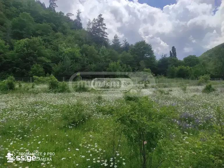 Land For Sale. Gori view 1