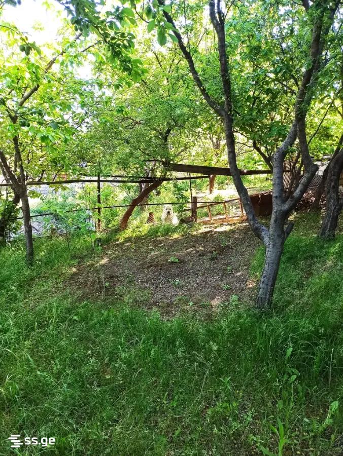 Land For Sale. Gldani view 2