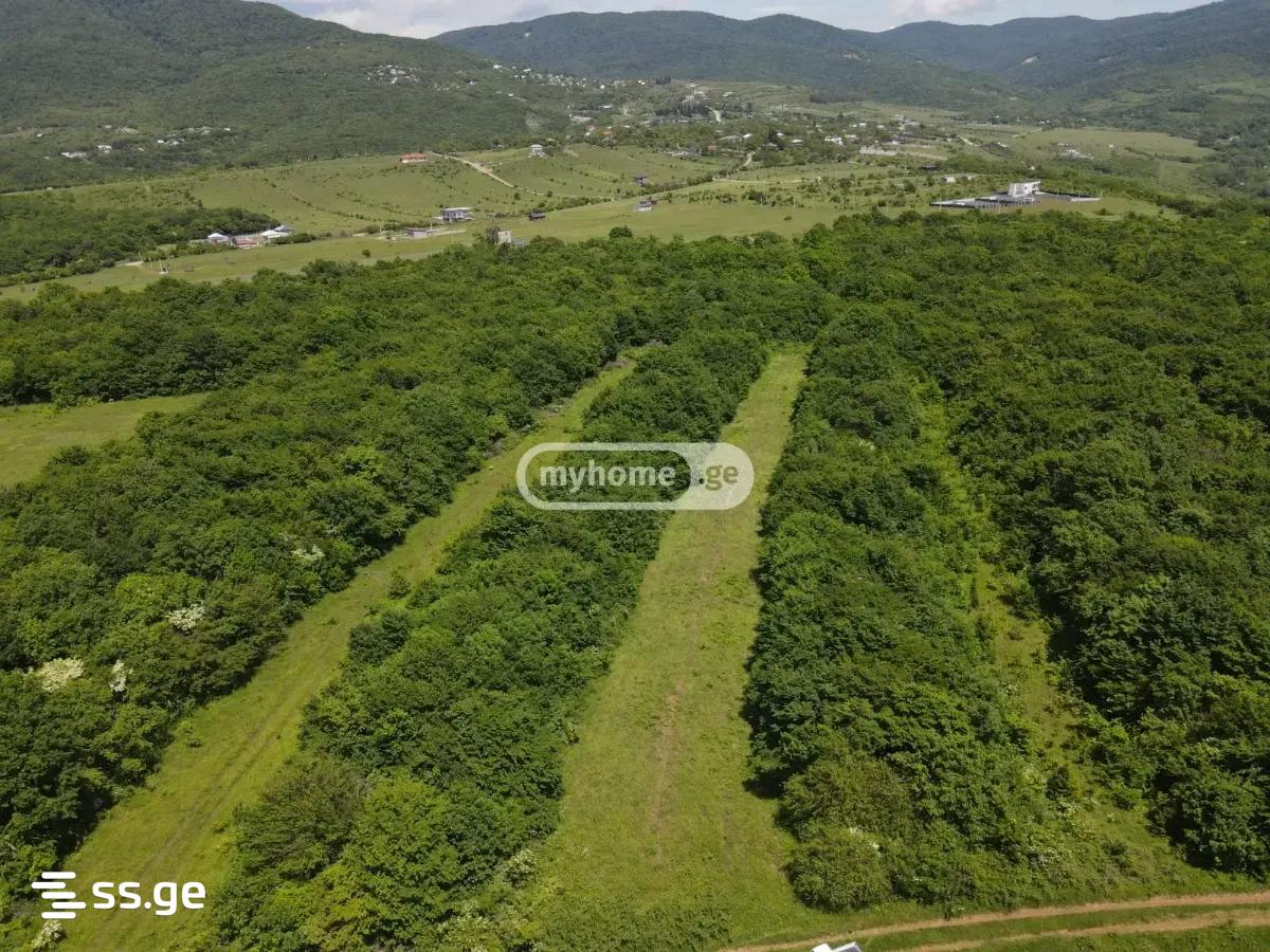 Land For Sale. Saguramo view 12