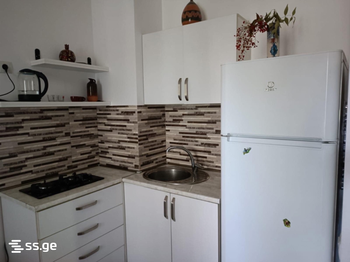 2 Room Flat Daily Rent. Nadzaladevi, 2 of 5