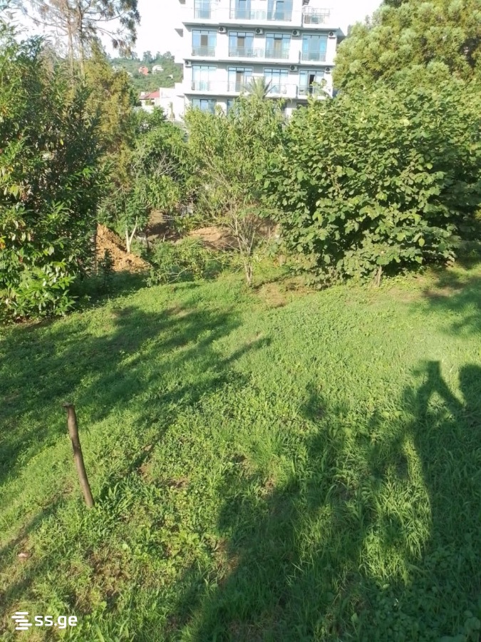 Land For Sale. Makhindjauri view 3