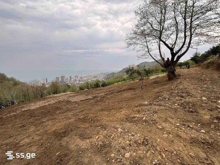 Land For Sale. Batumi view 9