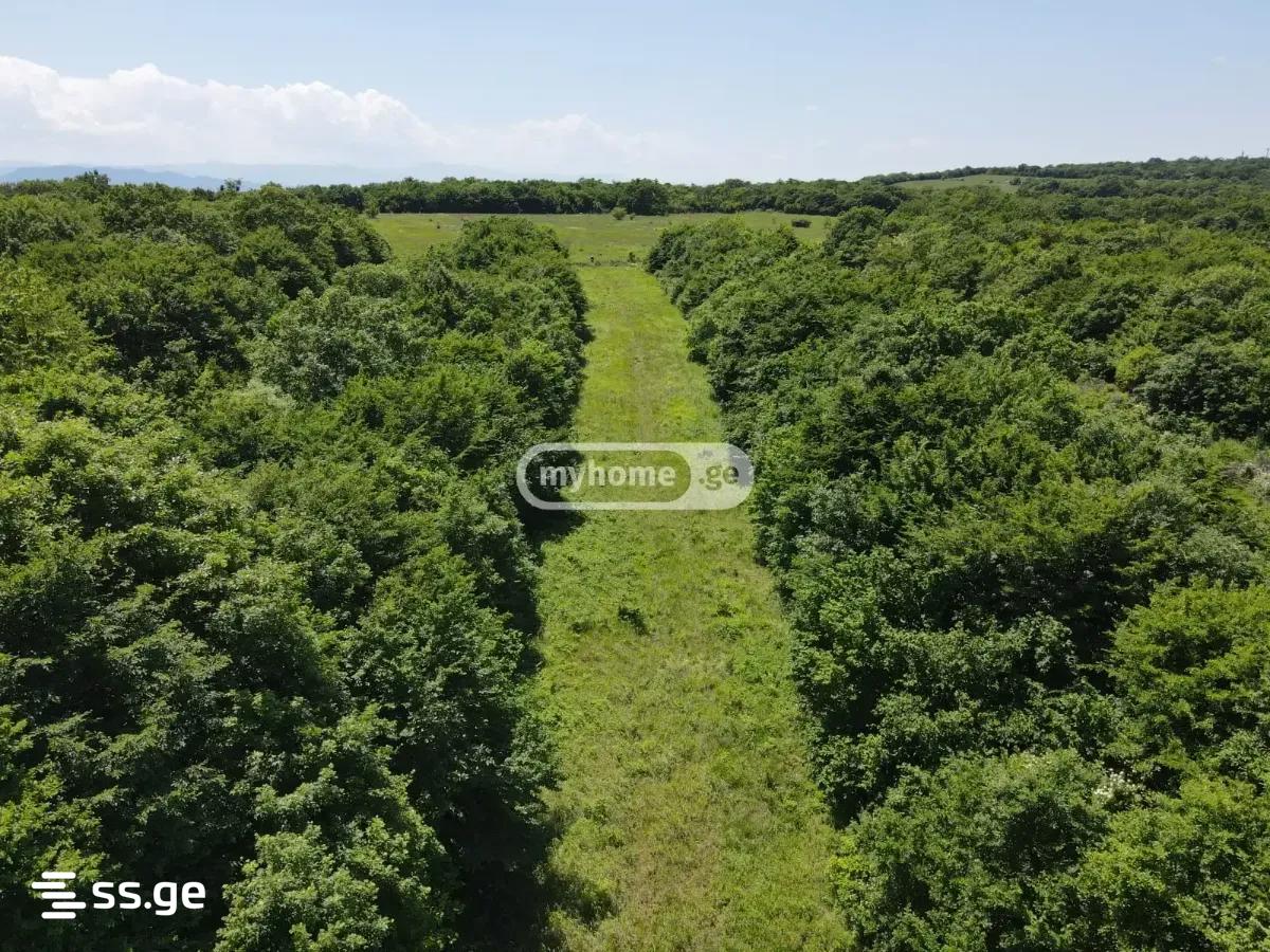 Land For Sale. Saguramo view 8
