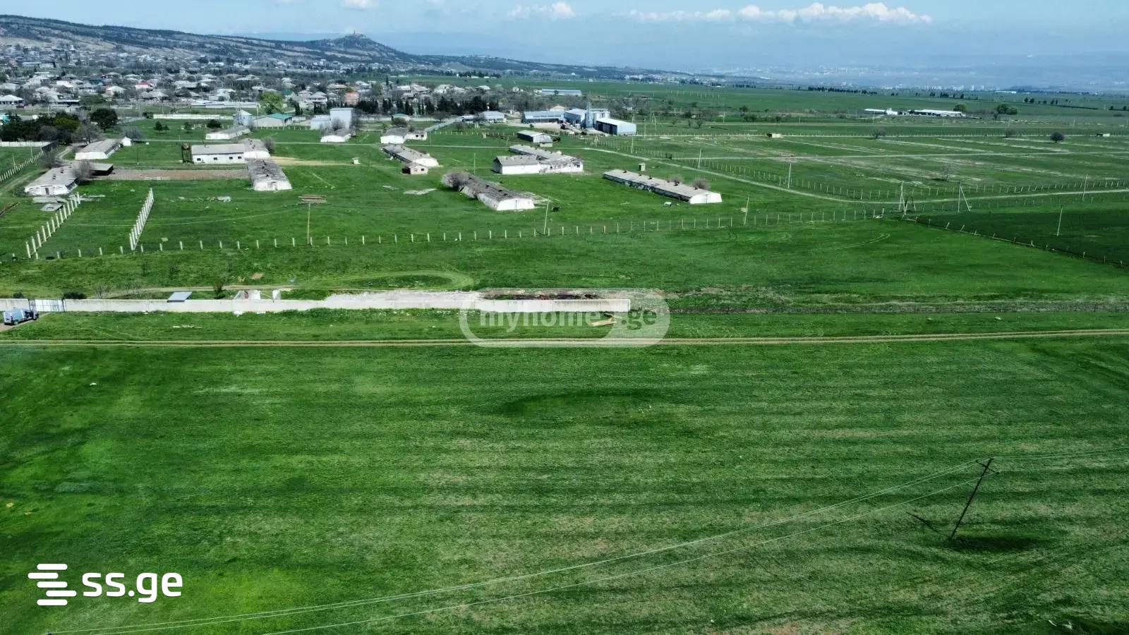 Продажа Земля в гардабани, 1 of 3