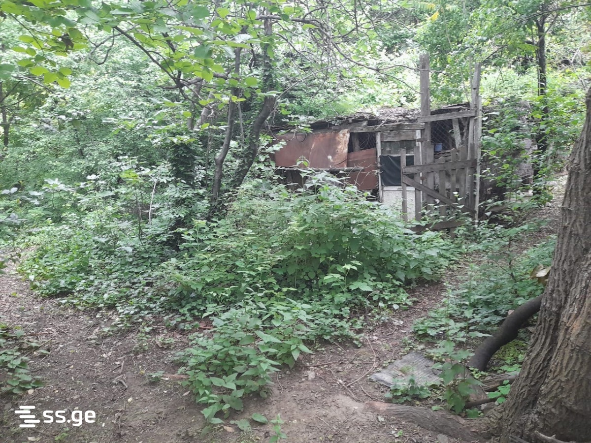 Land For Sale. Elia view 3
