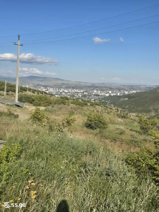 Land For Sale. Didi Digomi view 1
