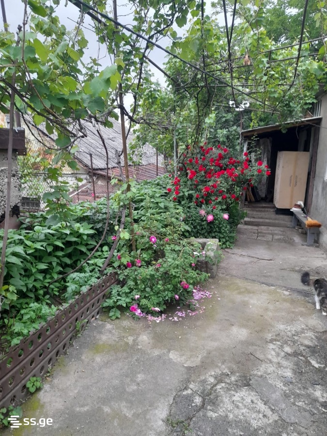 Land For Sale. Elia view 1