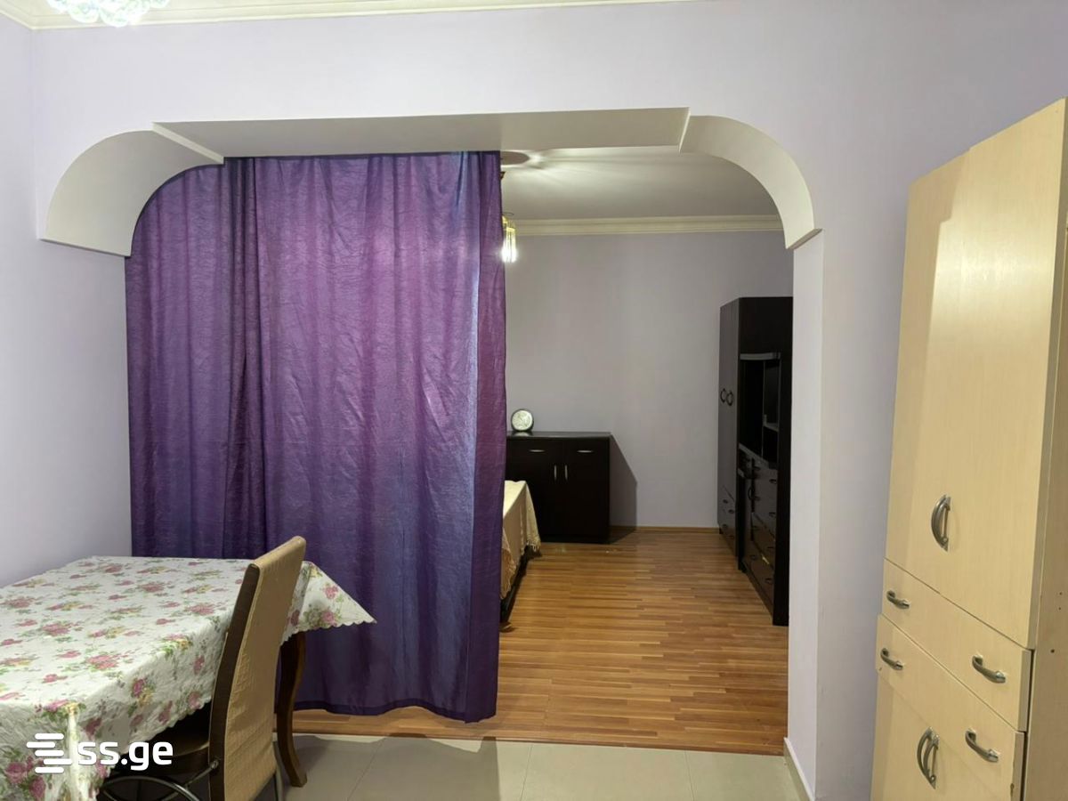1 Room Private House For Rent. Nadzaladevi view 8