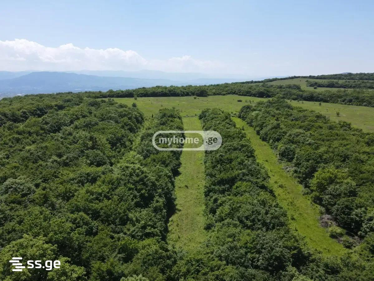 Land For Sale. Saguramo view 2