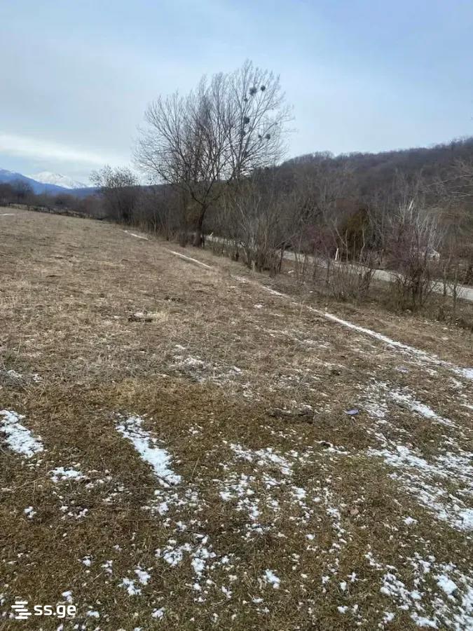 Продажа Земля / участок в Tianetis Munitsipalitetshi view 19