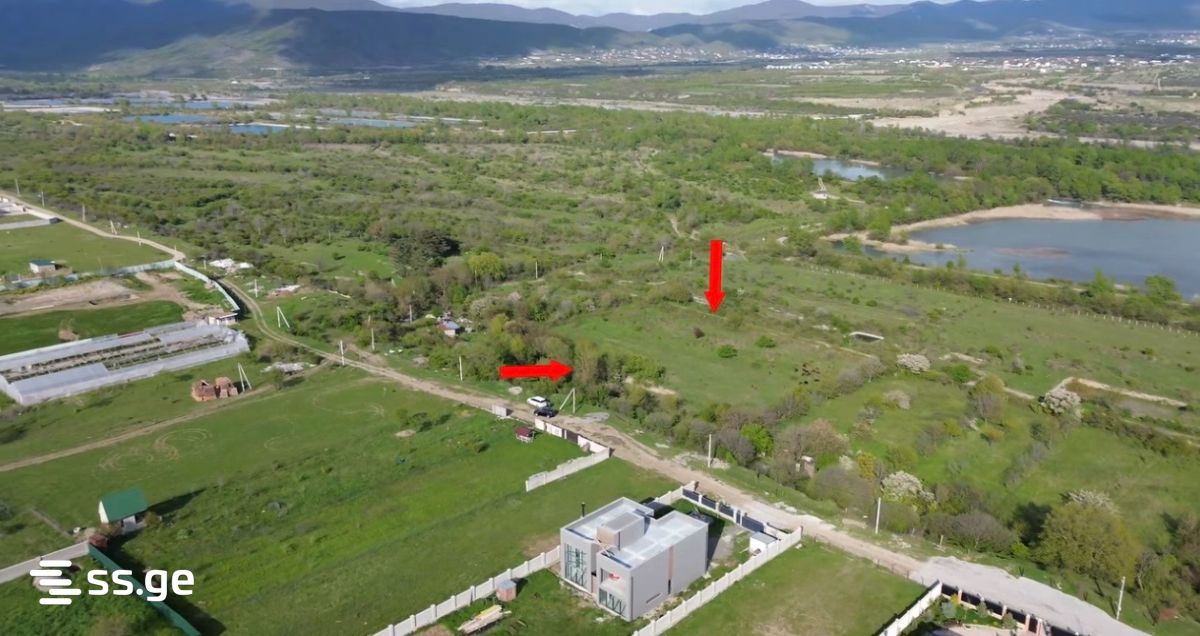 იყიდება მიწა მისაკციელიში view 2