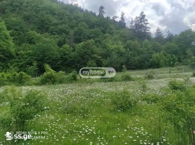 Land For Sale. Gori view 4