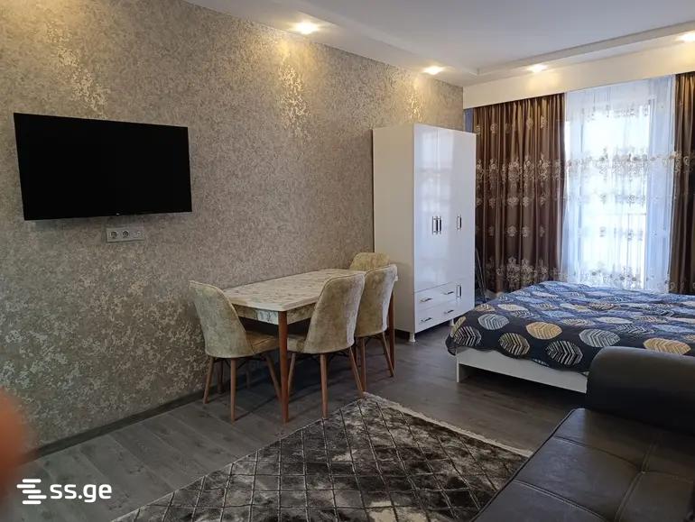 1 Room Flat For Rent. Rustavi, 10 of 10