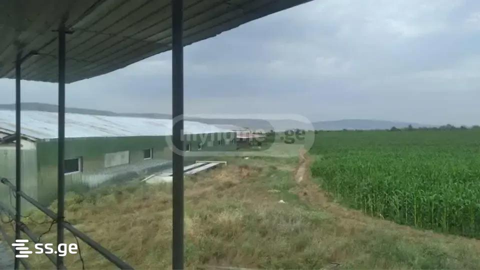 Land For Sale. Kaspi view 1