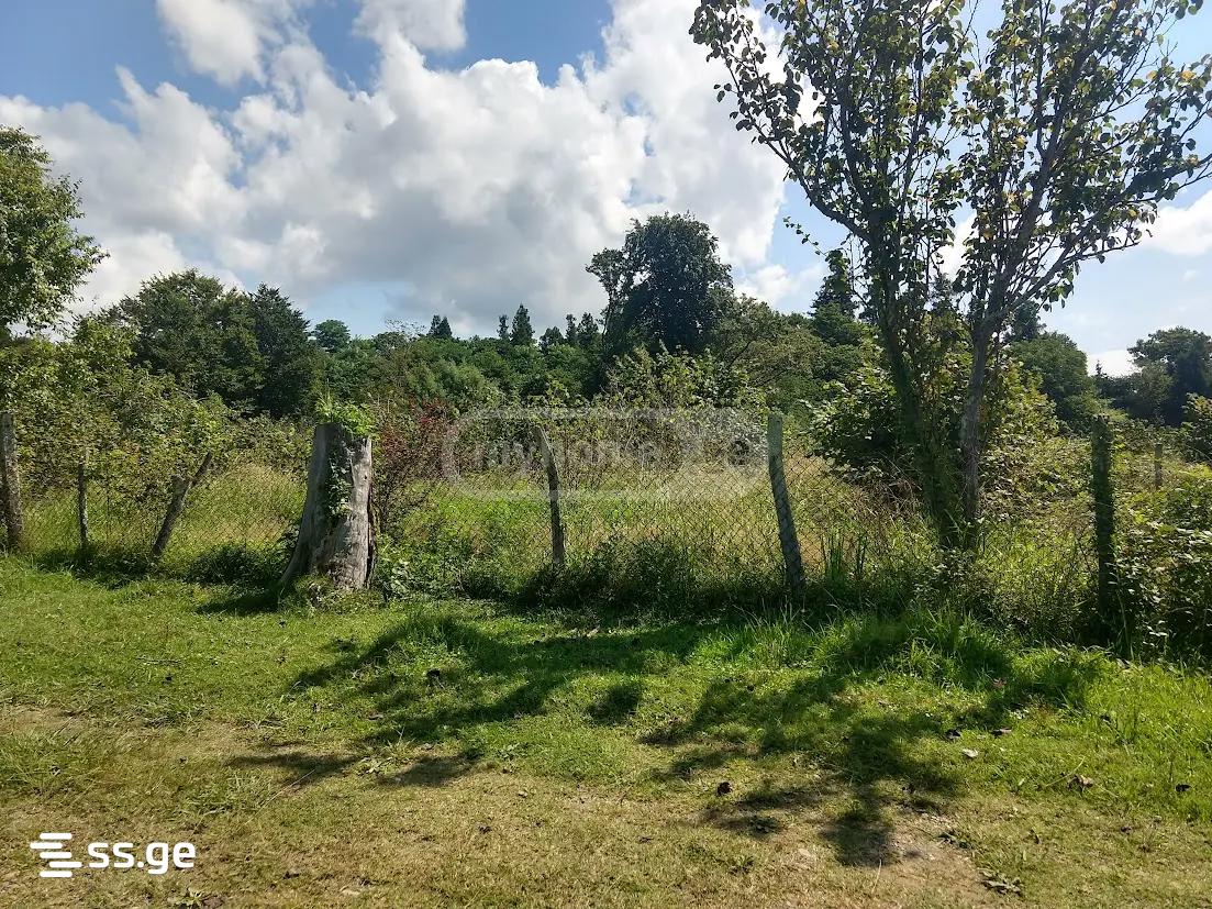Land For Sale. Shekvetili view 1