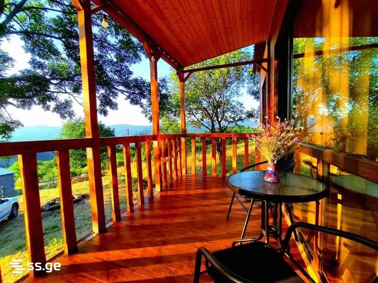 2 Room Summer Cottage Daily Rent. Bazaleti view 15