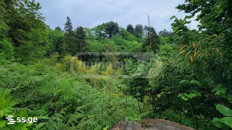 Land For Sale. Tsikhisdziri view 1