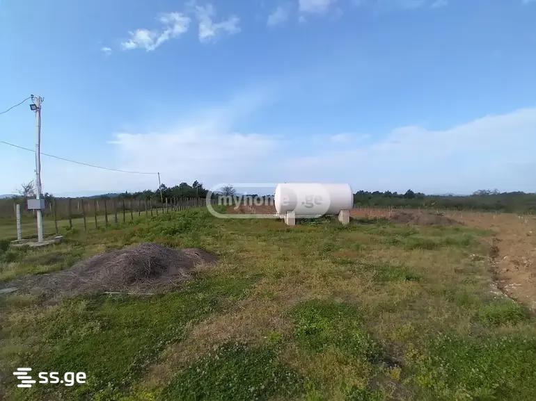 Land For Sale. Senaki view 3