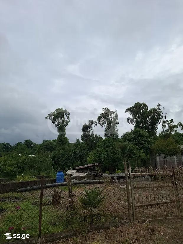 Land For Sale. Shekvetili view 4