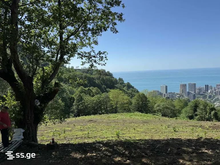 Land For Sale. Batumi view 6