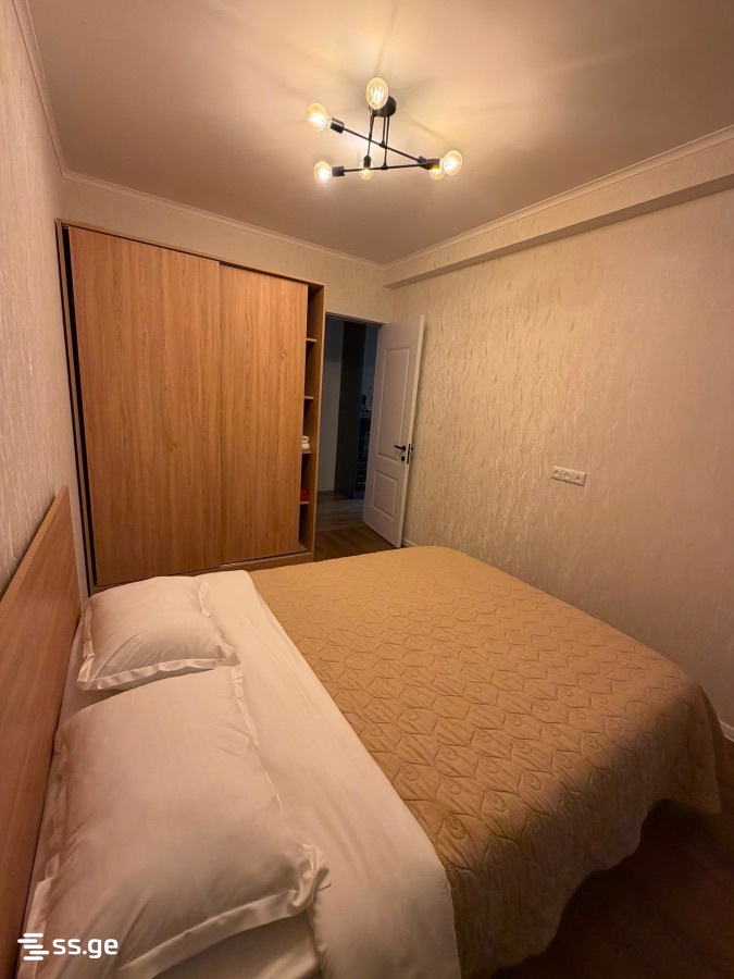 4 Room Private House Daily Rent. Saguramo, 3 of 12