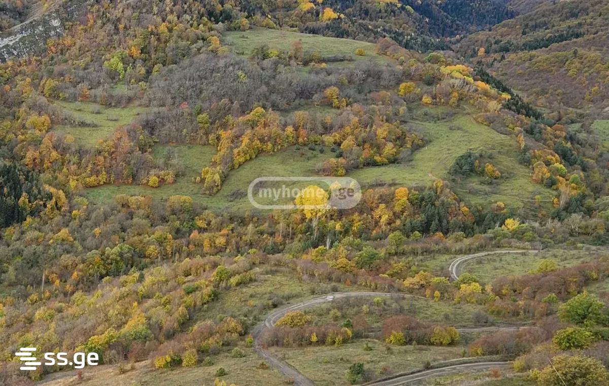 Продажа Земля в Гори view 4