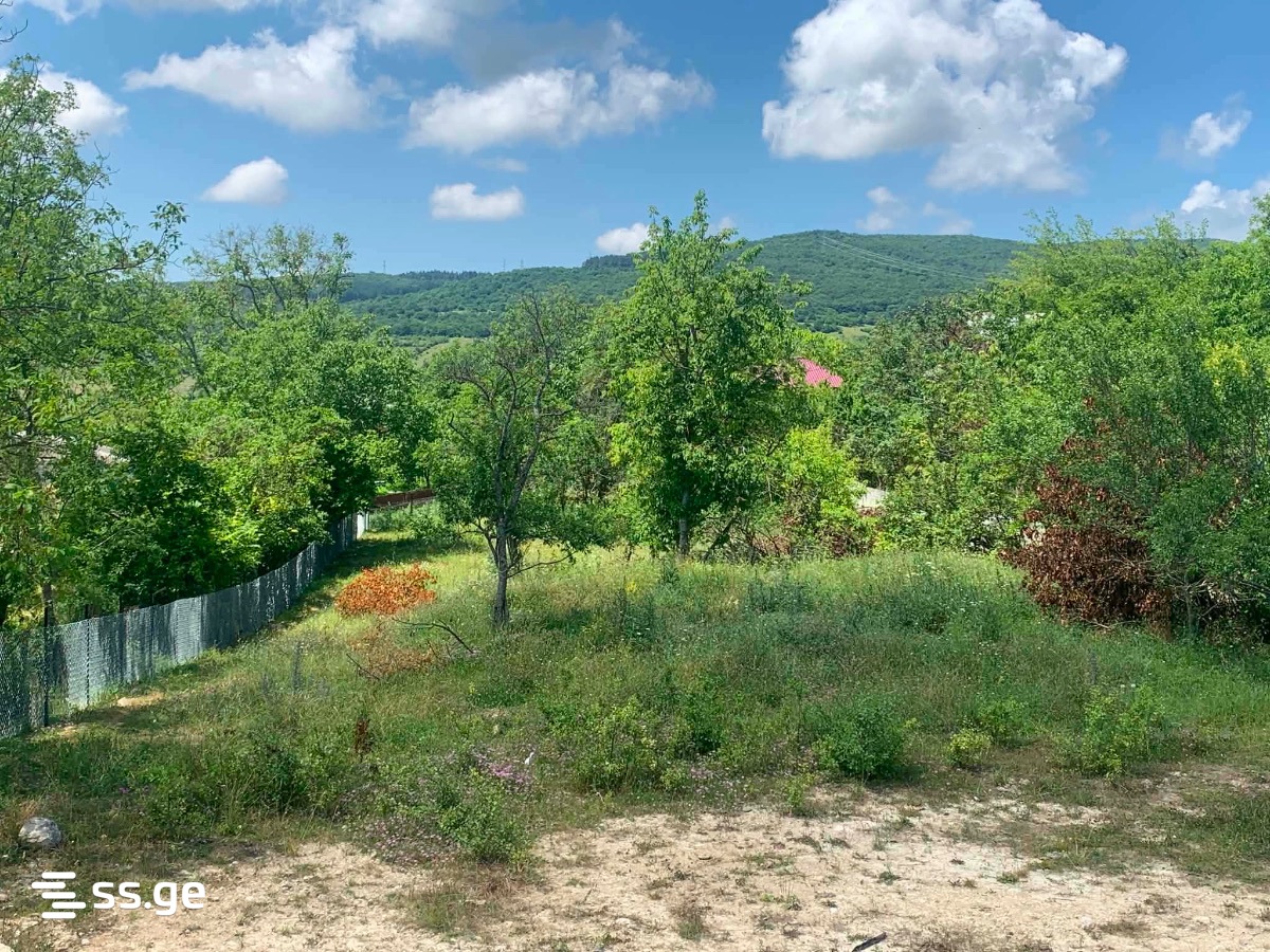 Land For Sale. Bazaleti view 6