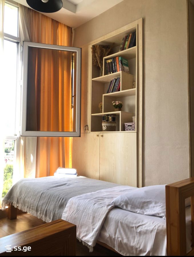 1 Room Flat Daily Rent. Borjomi view 2