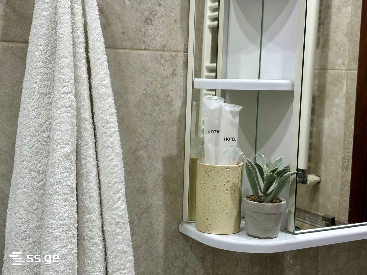 3 Room Flat Daily Rent. Saburtalo, 9 of 12