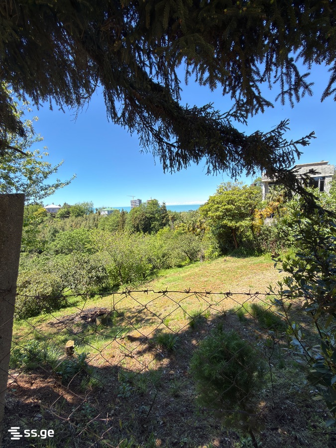 Land For Sale. Tsikhisdziri view 7