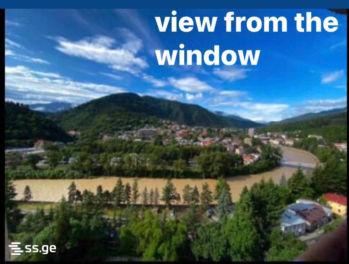 1 Room Flat Daily Rent. Borjomi view 1