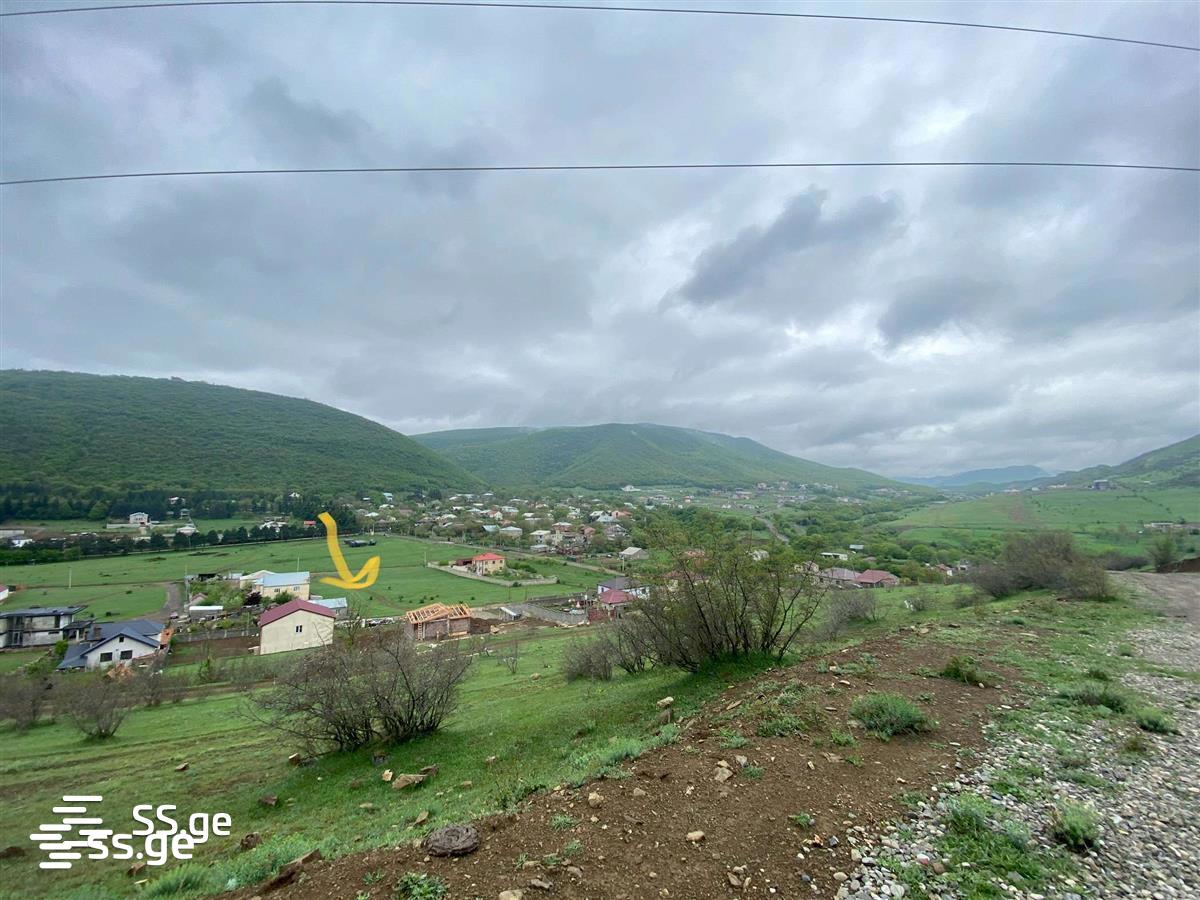 იყიდება მიწა ცოდორეტიში view 5