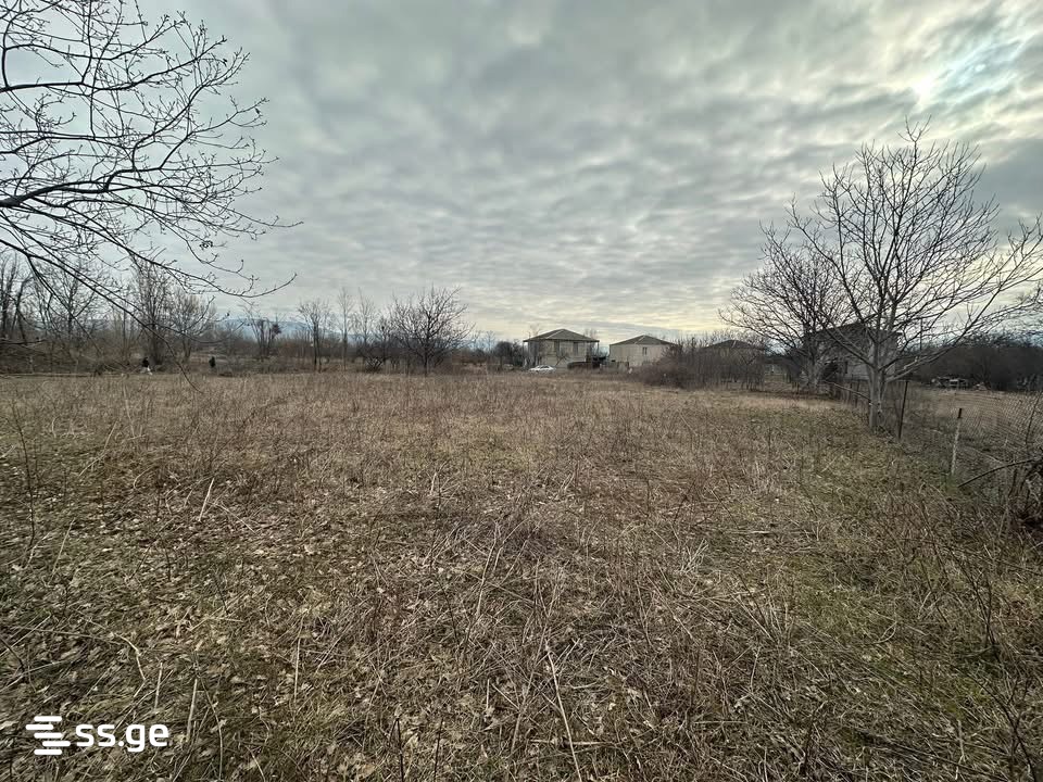 იყიდება მიწა მუხრანიში view 7
