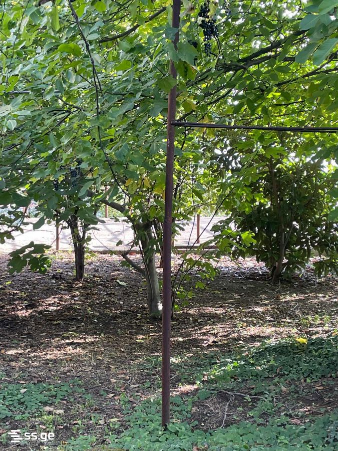 Продажа 8-комната Частный дом, 9 of 10