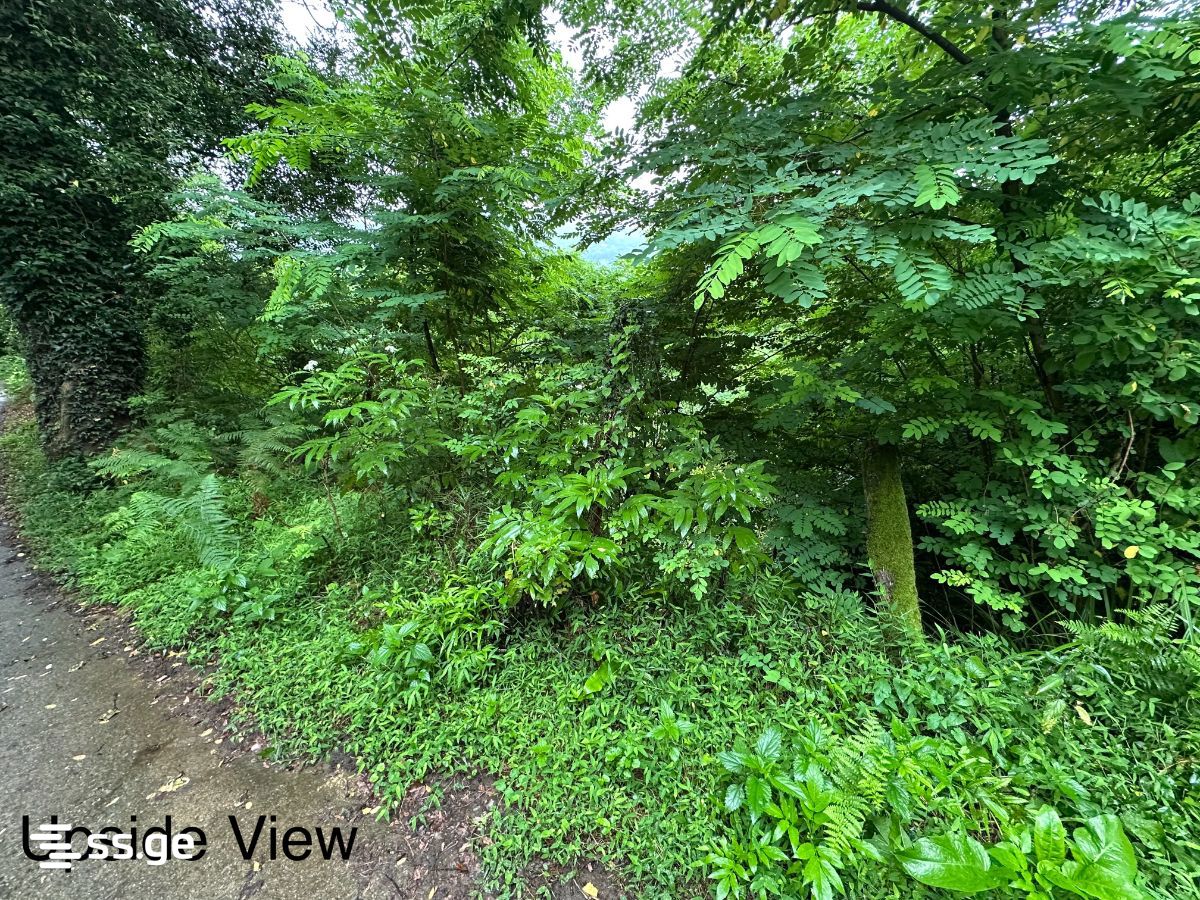 For Sale Sasoplo-Sameurneo Land Plot Khelvachauris Munitsipalitetshi view 16