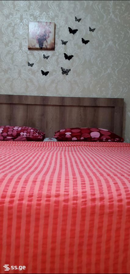 2 Room Flat Daily Rent. Saburtalo, 3 of 8